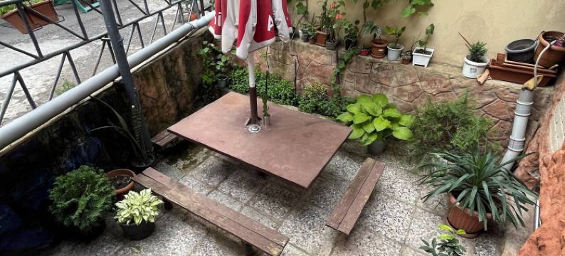 山坡旅馆(Hillside Guesthouse)图片