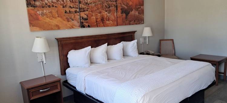 亚利桑那萨福德温德姆戴斯酒店(Days Inn by Wyndham Safford, AZ)图片