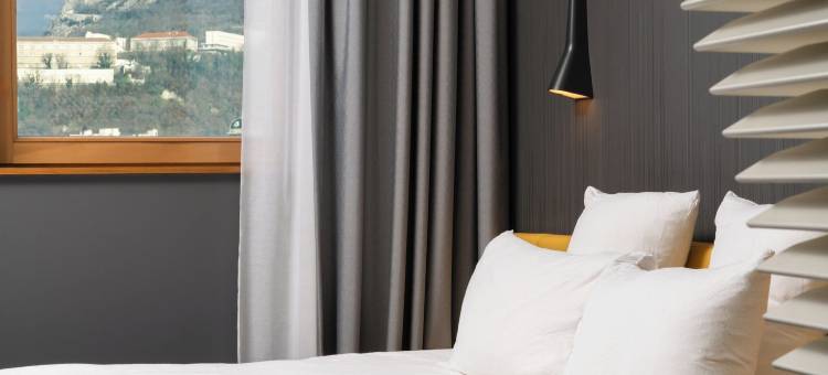 格勒诺布尔中心 OKKO 酒店(OKKO Hotels Grenoble Centre)图片