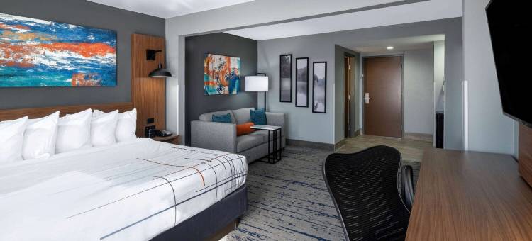 阿尔巴尼拉昆塔温德姆套房酒店(La Quinta Inn & Suites by Wyndham-Albany GA)图片