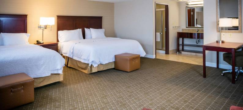 托雷多佩利斯堡希尔顿欢朋旅馆&套房酒店(Hampton Inn & Suites Toledo-Perrysburg)图片