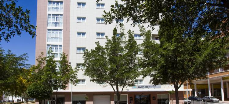 阿维尼达酒店(Avenida Hotel)图片