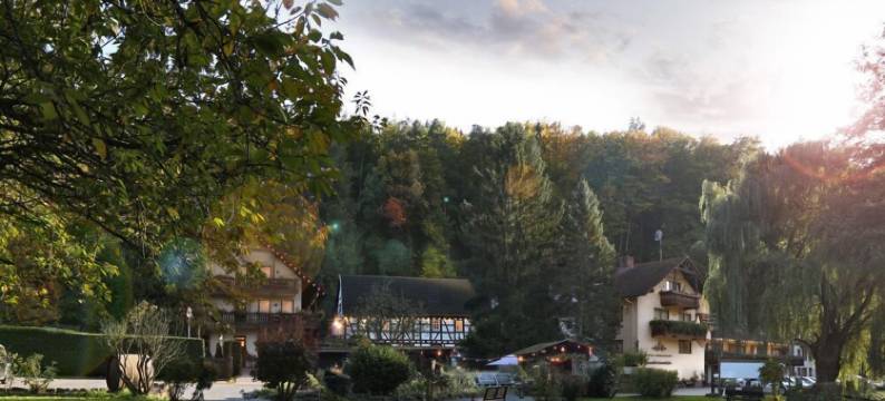 穆勒天堂酒店及餐厅(Hotel Restaurant Paradeismühle)图片