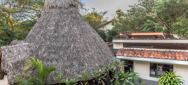 棕榈滩旅馆(Palm Beach Inn)图片