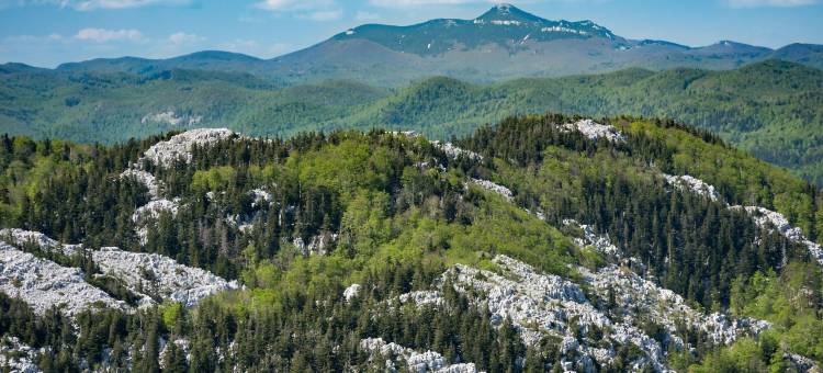 舒适的带私人花园的家(Cozy Home with Private Garden - Happy Rentals)图片