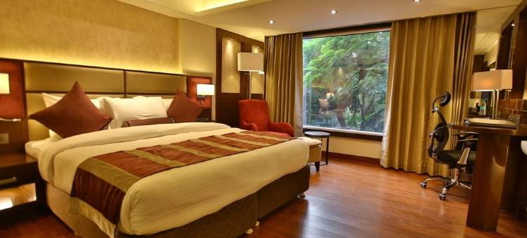 坎普尔水晶雷珍塔中央酒店(Regenta Central the Crystal Kanpur,)图片