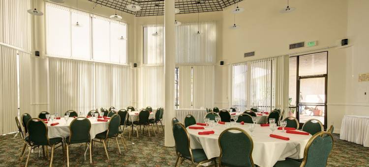 奇迹温泉水疗度假村(Miracle Springs Resort and Spa)图片