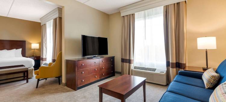 近奥兰多环球影城舒适套房酒店(Comfort Suites Near Universal Orlando Resort)图片