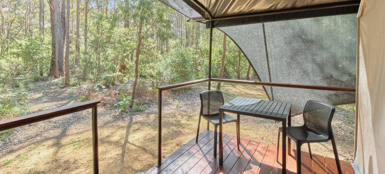 玛格利特河自然公园RAC假日公园(RAC Margaret River Nature Park)图片