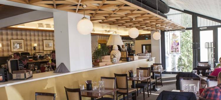 赫尔辛基芬兰公园酒店(Finlandia Park Hotel Helsinki)图片