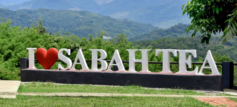 沙巴茶度假村(Sabah Tea Garden)图片