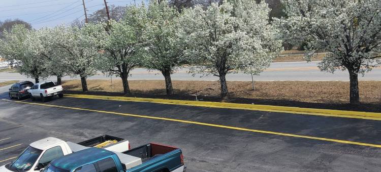 科尼尔斯杰姆逊酒店(Jameson Inn Conyers)图片