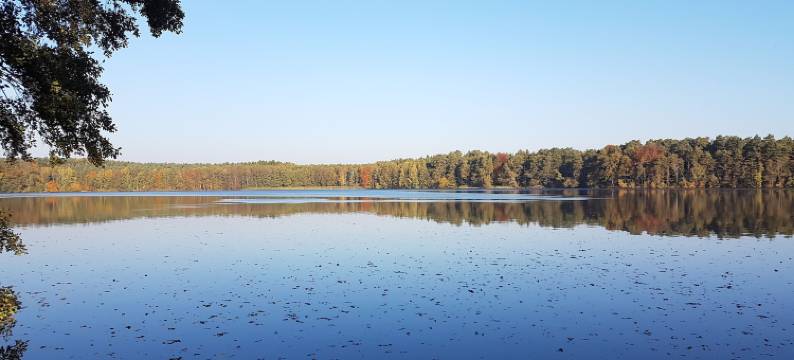 锡多湖滨度假村(Ferienanlage "Am Sidowsee")图片