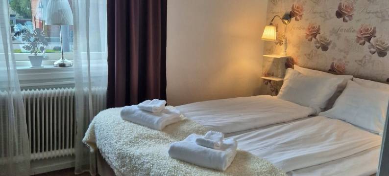 斯莫兰斯泰纳酒店(Smålandsstenar Hotell)图片