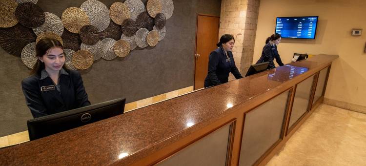 阿莱莎墨西卡利酒店(Hotel Araiza Mexicali)图片