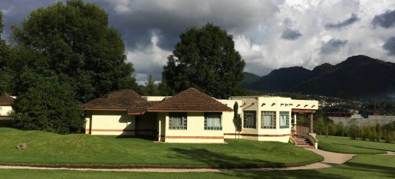 森林太阳套房酒店(Hotel Bosques del Sol Suites)图片