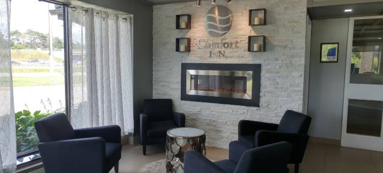 康福特酒店(Quality Inn)图片