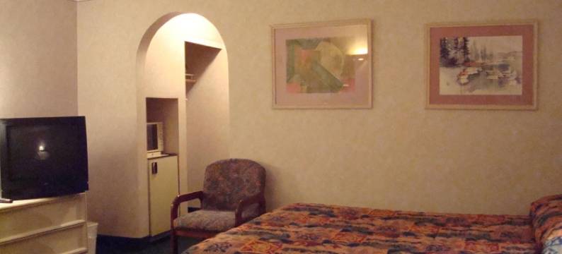 奥黑尔套房酒店(O'Hare Inn & Suites)图片