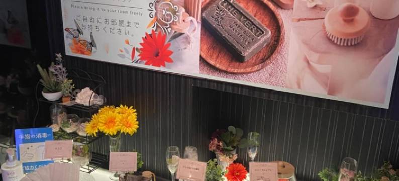 雷斯特酒店-所泽(Restay Tokorozawa)图片