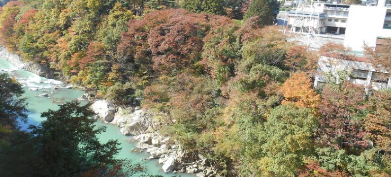 鬼怒川温泉　绝景之宿　福松旅馆(Kinugawaonsen Fukumatsu)图片