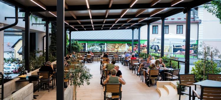 阿尔普酒店(Hotel Alp)图片