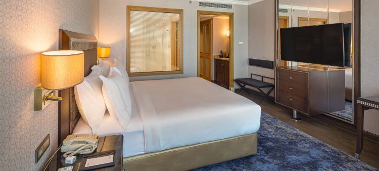 安卡拉迪万酒店(Divan Ankara)图片