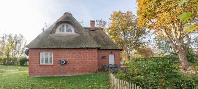 带瓷砖炉的茅草屋度假屋(Reetgedecktes Ferienhaus Mit Kachelofen)图片