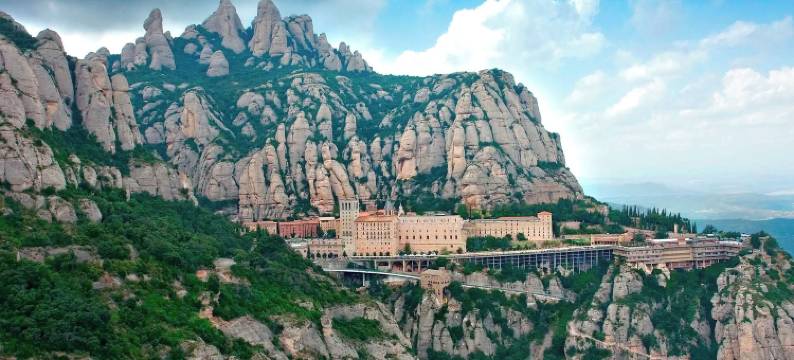 卡尔金(Cal Kim)图片