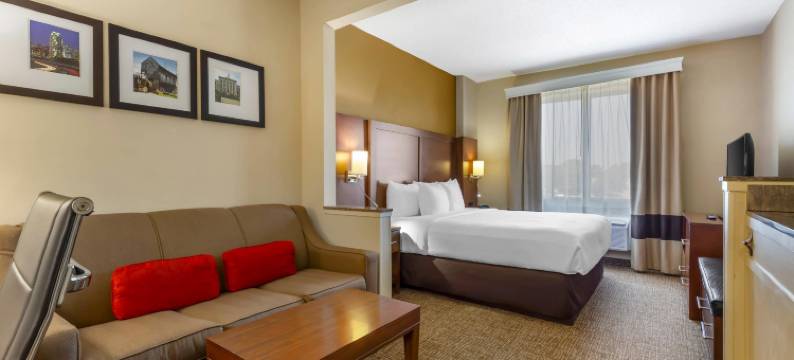 罗利核桃溪舒适套房酒店(Comfort Suites Raleigh Walnut Creek)图片