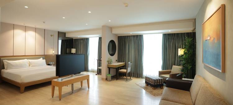 孟买国际机场米拉奇酒店(Mirage Hotel, Mumbai International Airport)图片