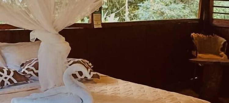 库亚贝诺河山林小屋(Cuyabeno River Lodge)图片