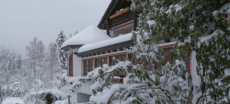 沃尔德布里克尼比斯酒店(Hotel Waldblick Kniebis)图片