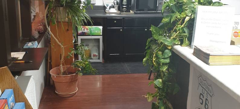 美洲汽车旅馆(Americana Motel)图片