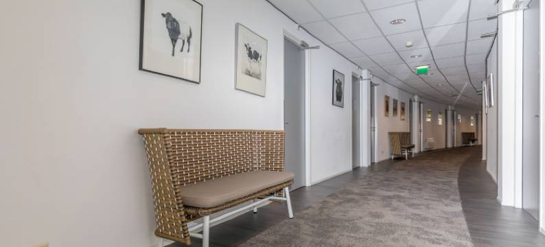 陆地与海洋酒店(Resort Land & Zee)图片