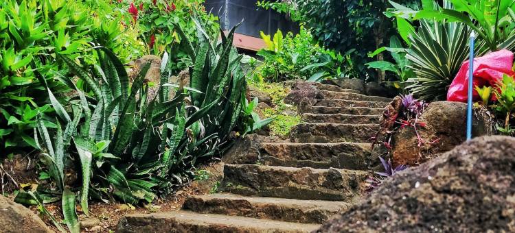 太阳村舍生态小屋旅馆(Finca del Sol Eco Lodge)图片