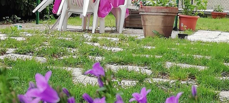 雪松民宿(B&B Il Cedro)图片