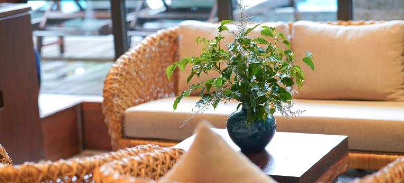 会安-海滨精品酒店及别墅(CHiEM HoiAn - The Beachside Boutique Hotel & Villa)图片