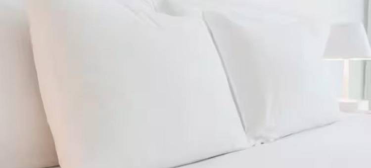 希尔顿逸林康科德市中心酒店(DoubleTree by Hilton Concord Downtown)图片