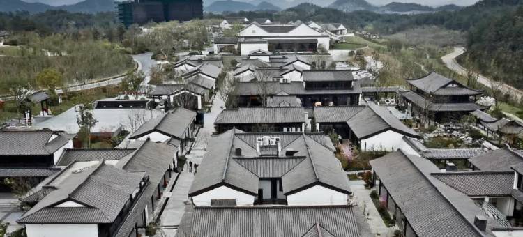 大乐之野(安吉桃花源店)图片