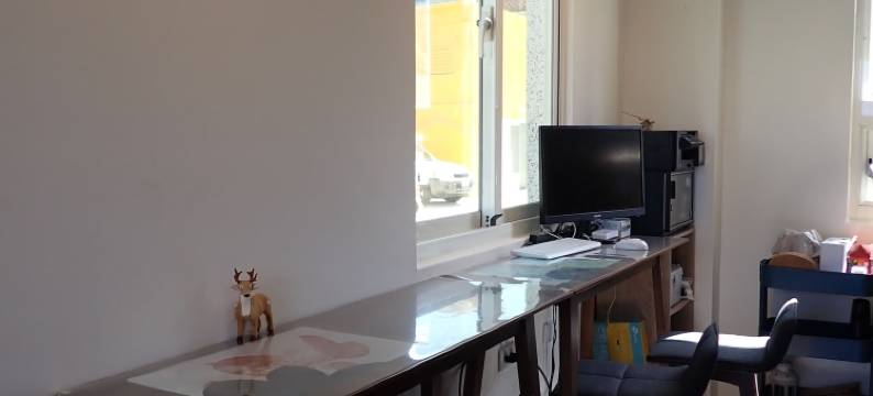 海景绿岛极光轻旅 国际旅客 宠物友善图片