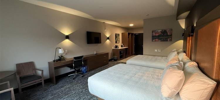 贝斯特韦斯特优质尼帕瓦酒店(Best Western Plus Neepawa Hotel)图片