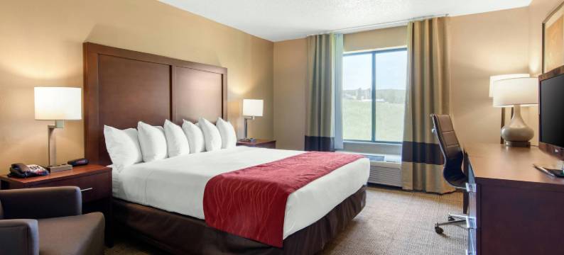 舒适酒店及套房库珀斯敦 / 米尔福德(Comfort Inn & Suites Milford / Cooperstown)图片