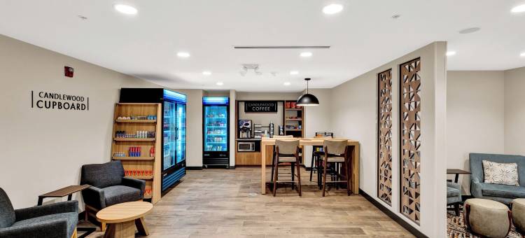 底特律-奥本山洲际Candlewood套房酒店(Candlewood Suites DETROIT - AUBURN HILLS by IHG)图片