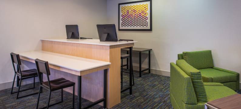 洲际智选假日酒店及套房坦帕-安德森路/退伍军人(Holiday Inn Express & Suites TAMPA-ANDERSON RD/VETERANS EXP by IHG)图片