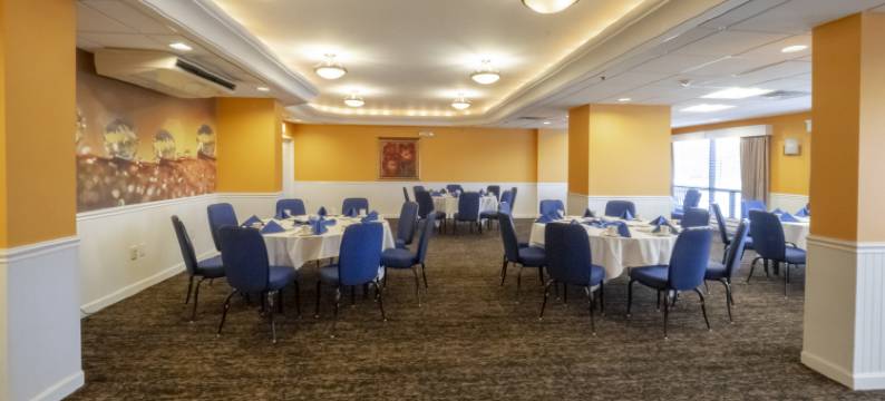布法罗阿默斯特希尔顿逸林酒店(DoubleTree by Hilton Hotel Buffalo - Amherst)图片