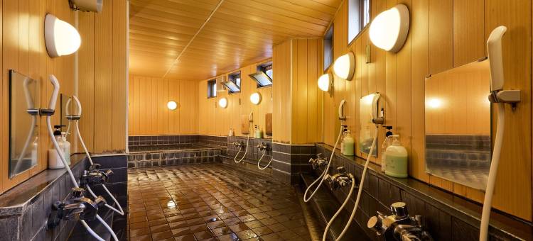 若水酒店(Hotel Wakamizu)图片