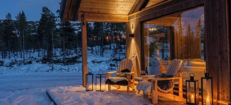豪华度假屋，滑雪，桑拿，远程办公(Luxury Holiday Home, Skiing, Sauna, Remote Office)图片