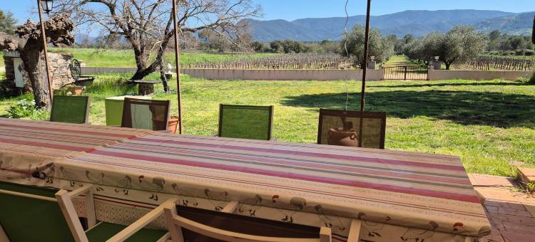 Villa in Le Luc with Pool & Vineyard Views图片