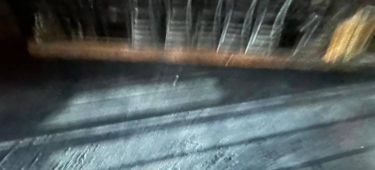 马格努森山景酒店(Magnuson Hotel Mountain View)图片