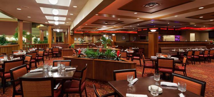 Holiday Inn 辛辛那提机场(Holiday Inn Cincinnati Airport)图片